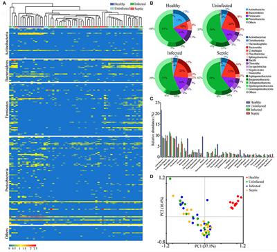 Identification and Characterization of Blood and Neutrophil-Associated Microbiomes in Patients with Severe Acute Pancreatitis Using Next-Generation Sequencing